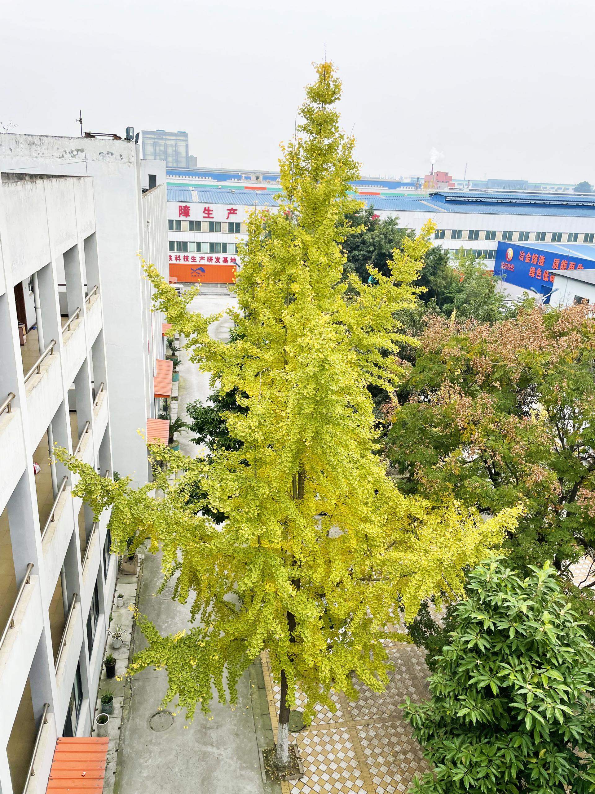 微信图片_20251124110414_1269_2